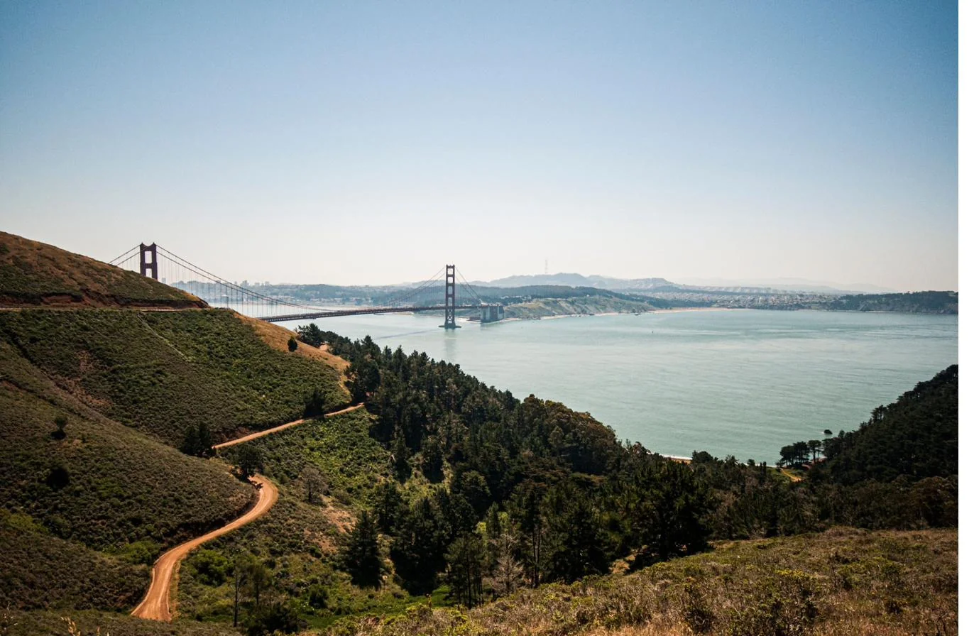 Golden hills and open water seen from a high coastal vista