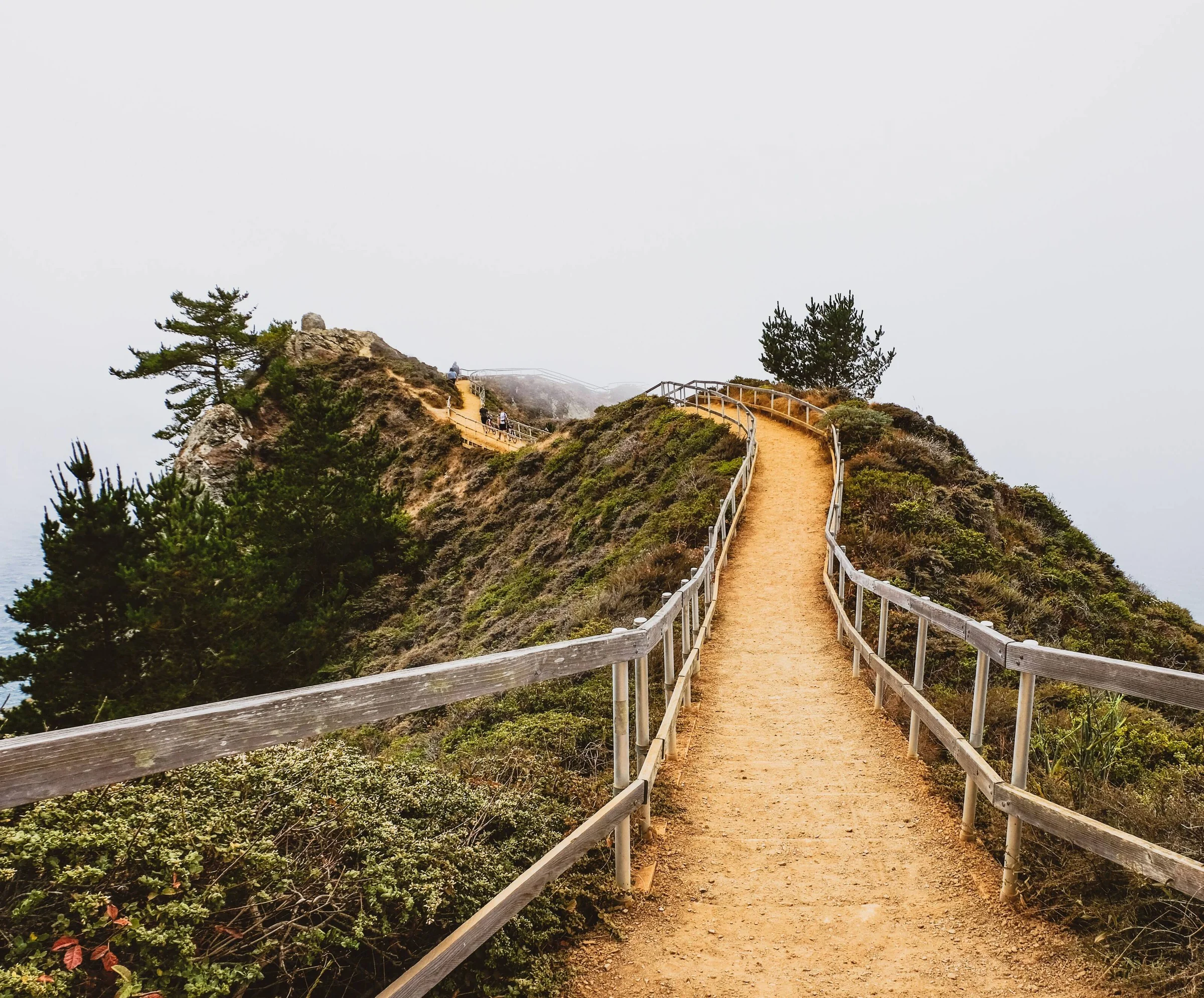 A railed walkway climbing a coastal ridge into the fog