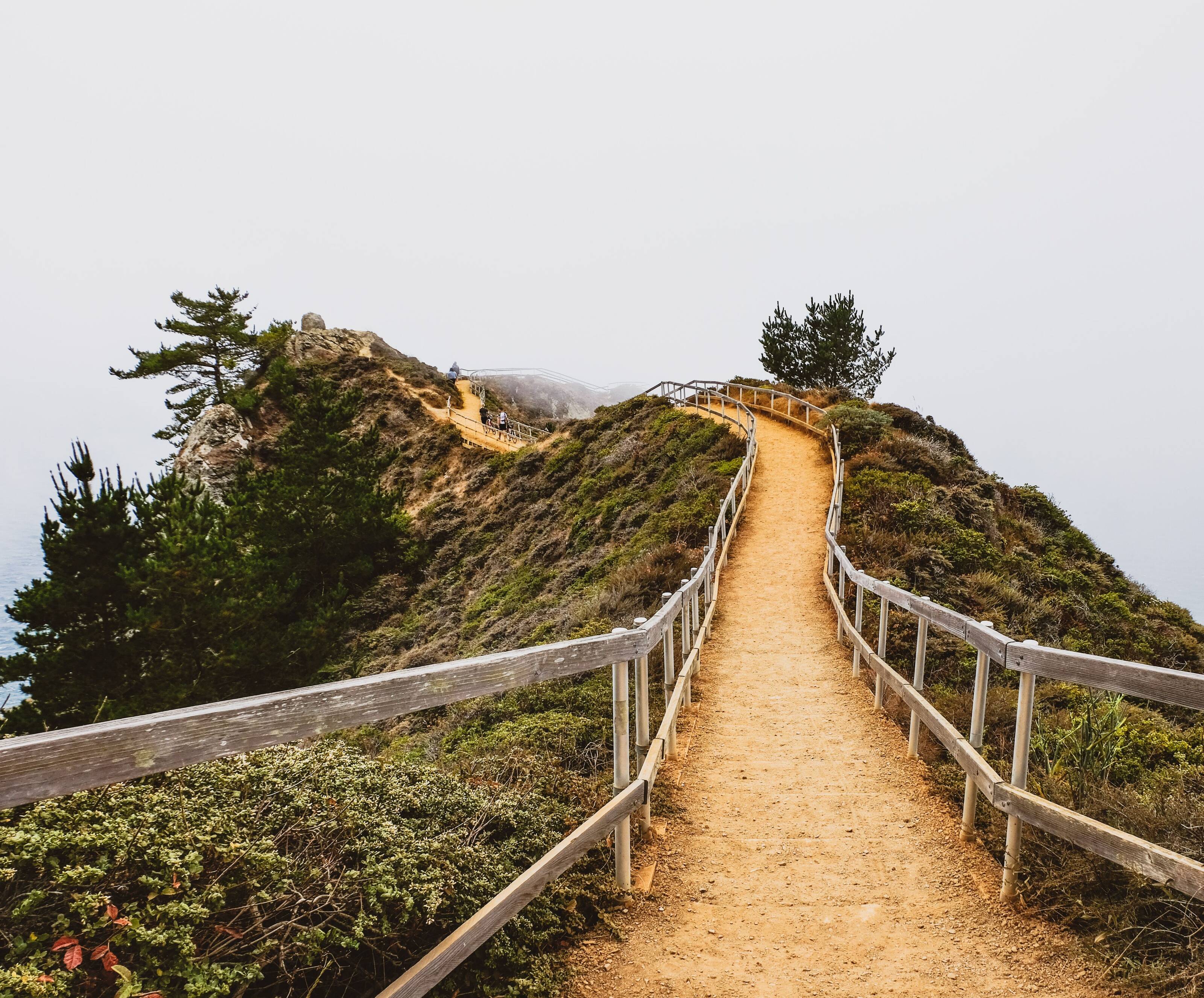 A railed walkway climbing a coastal ridge into the fog